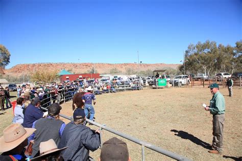 alice springs showgrounds camping
